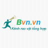 Bvn.vn